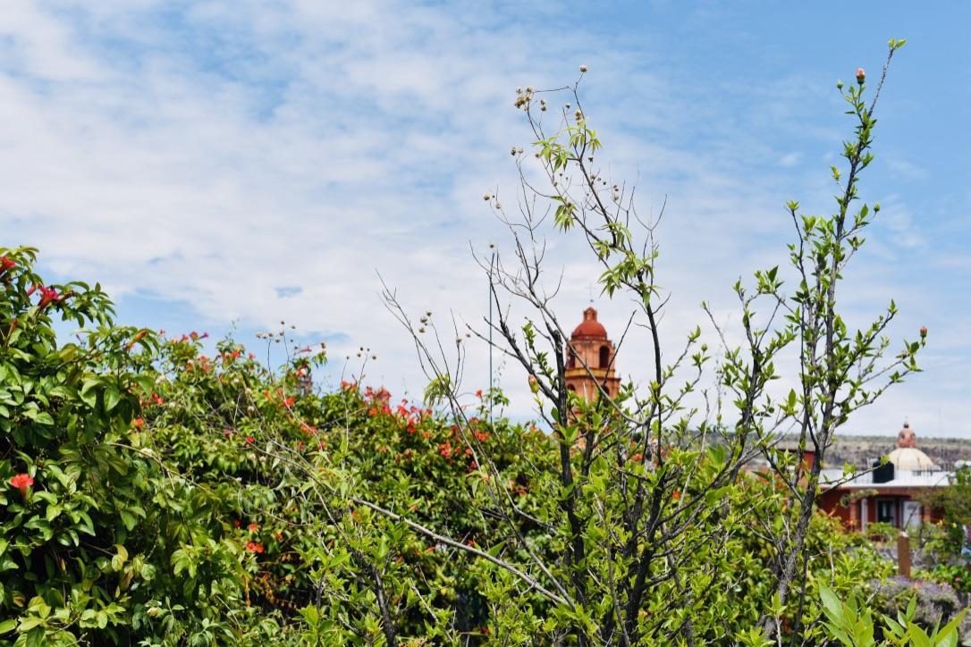 Casa Relox 23 Appartement San Miguel de Allende Buitenkant foto